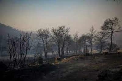 Η κυβέρνηση παραδίδει τις καμένες περιοχές της Εύβοιας στα ιδιωτικά συμφέροντα
