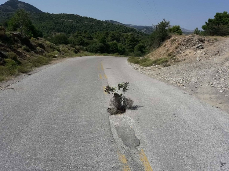 &Alpha;&pi;ί&sigma;&tau;&epsilon;&upsilon;&tau;&omicron;....έ&tau;&sigma;&iota; &kappa;&lambda;&epsilon;ί&nu;&omicron;&upsilon;&nu; &tau;&iota;&sigmaf; &lambda;&alpha;&kappa;&omicron;ύ&beta;&epsilon;&sigmaf;;