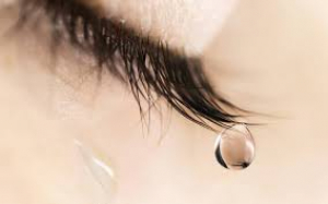 &Epsilon;&upsilon;&beta;&omicron;&iota;&alpha;-&Tau;&rho;&alpha;&gamma;&iota;&kappa;&omicron;&sigmaf; &theta;&alpha;&nu;&alpha;&tau;&omicron;&sigmaf; 27&chi;&rho;&omicron;&nu;&eta;&sigmaf;....