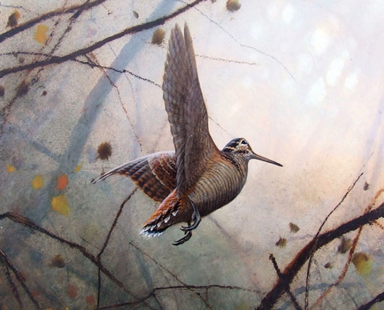 &Sigma;&upsilon;&nu;ά&nu;&tau;&eta;&sigma;&eta; &mu;&epsilon; &tau;&eta;&nu; &beta;&alpha;&sigma;ί&lambda;&iota;&sigma;&sigma;&alpha; &tau;&omicron;&upsilon; &delta;&alpha;&sigma;&omicron;&upsilon;&sigmaf;