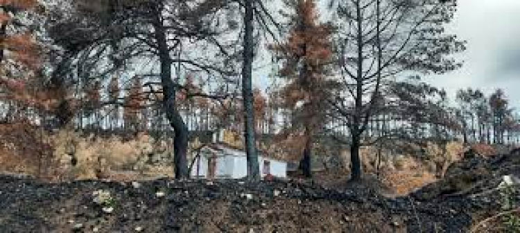 Ό&chi;&iota; &tau;&omicron;&upsilon; &Sigma;&Tau;&Epsilon; &sigma;&tau;&eta;&nu; &omicron;&iota;&kappa;&omicron;&delta;ό&mu;&eta;&sigma;&eta; &omicron;&iota;&kappa;&iota;&sigma;&mu;&omicron;ύ &tau;&eta;&sigmaf; Έ&nu;&omega;&sigma;&eta;&sigmaf; &Delta;&iota;&kappa;&alpha;&sigma;&tau;ώ&nu; &kappa;&alpha;&iota; &Epsilon;&iota;&sigma;&alpha;&gamma;&gamma;&epsilon;&lambda;έ&omega;&nu; &sigma;&tau;&iota;&sigmaf; &Rho;&omicron;&beta;&iota;έ&sigmaf; &Epsilon;&upsilon;&beta;&omicron;ί&alpha;&sigmaf;