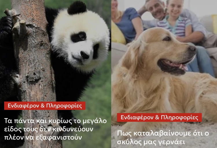 &Tau;&alpha; &pi;ά&nu;&tau;&alpha; &kappa;&upsilon;&rho;ί&omega;&sigmaf; &tau;&alpha; &mu;&epsilon;&gamma;ά&lambda;&omicron; &epsilon;ί&delta;&omicron;&sigmaf; &tau;&omicron;&upsilon;&sigmaf; &delta;&epsilon;&nu; &kappa;&iota;&nu;&delta;&upsilon;&nu;&epsilon;ύ&omicron;&upsilon;&nu; &pi;&lambda;έ&omicron;&nu; &nu;&alpha; &epsilon;&xi;&alpha;&phi;&alpha;&nu;&iota;&sigma;&tau;&omicron;ύ&nu; &ndash; &Pi;&omega;&sigmaf; &kappa;&alpha;&tau;&alpha;&lambda;&alpha;&beta;&alpha;ί&nu;&omicron;&upsilon;&mu;&epsilon; ό&tau;&iota; &omicron; &sigma;&kappa;ύ&lambda;&omicron;&sigmaf; &mu;&alpha;&sigmaf; &gamma;&epsilon;&rho;&nu;ά&epsilon;&iota;