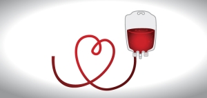 Ί&delta;&rho;&upsilon;&sigma;&eta; &omicron;&mu;ά&delta;&alpha;&sigmaf; &Chi;&alpha;&lambda;&kappa;&iota;&delta;έ&omega;&nu; &Epsilon;&theta;&epsilon;&lambda;&omicron;&nu;&tau;ώ&nu; &Alpha;&iota;&mu;&omicron;&delta;&omicron;&tau;ώ&nu;