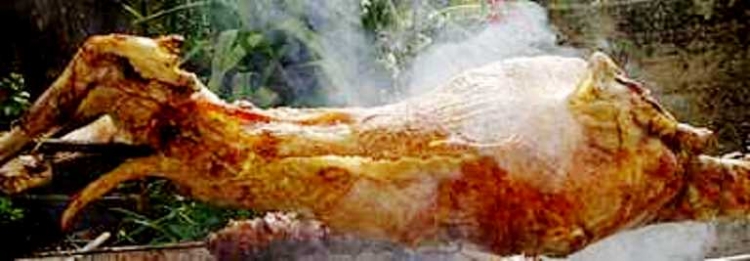 O&delta;&eta;&gamma;ί&epsilon;&sigmaf; &gamma;&iota;&alpha; &psi;ή&sigma;&tau;&epsilon;&sigmaf;...