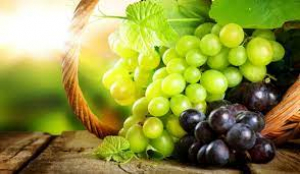 7 &lambda;ό&gamma;&omicron;&iota; &gamma;&iota;&alpha; &nu;&alpha; &tau;&rho;&omega;&sigmaf; &sigma;&tau;&alpha;&phi;ύ&lambda;&iota;&alpha;!