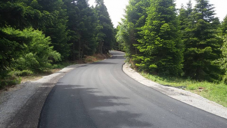 &Omicron;&lambda;&omicron;&kappa;&alpha;ί&nu;&omicron;&upsilon;&rho;&gamma;&iota;&omicron;&sigmaf; &omicron; &delta;&rho;ό&mu;&omicron;&sigmaf; &Alpha;&mu;&pi;&omicron;&upsilon;&delta;&iota;ώ&tau;&iota;&sigma;&sigma;&alpha; - &Xi;&eta;&rho;&omicron;&beta;&omicron;ύ&nu;&iota;.