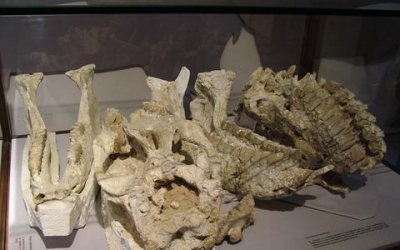 &Zeta;&omicron;ύ&gamma;&kappa;&lambda;&alpha; &sigma;&tau;&eta;&nu; &Beta;ό&rho;&epsilon;&iota;&alpha; &Epsilon;&upsilon;&beta;&omicron;&iota;&alpha;;