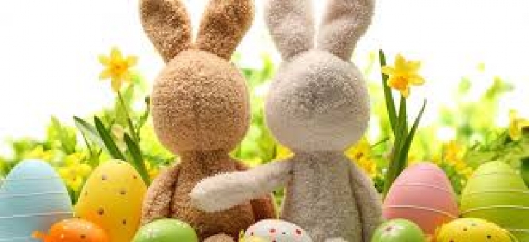 &Chi;&alpha;&lambda;&kappa;&iota;&delta;&alpha;-&Epsilon;&omicron;&rho;&tau;&alpha;&sigma;&tau;&iota;&kappa;ό &Omega;&rho;ά&rho;&iota;&omicron; &lambda;&epsilon;&iota;&tau;&omicron;&upsilon;&rho;&gamma;ί&alpha;&sigmaf; &tau;&omega;&nu;  &kappa;&alpha;&tau;&alpha;&sigma;&tau;&eta;&mu;ά&tau;&omega;&nu;