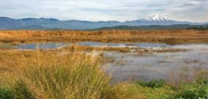 &Tau;&iota; &sigma;&upsilon;&mu;&beta;&alpha;ί&nu;&epsilon;&iota; &mu;&epsilon; &tau;&omicron;&nu; &upsilon;&gamma;&rho;ό&tau;&omicron;&pi;&omicron; &tau;&omega;&nu; &Psi;&alpha;&chi;&nu;ώ&nu; ;