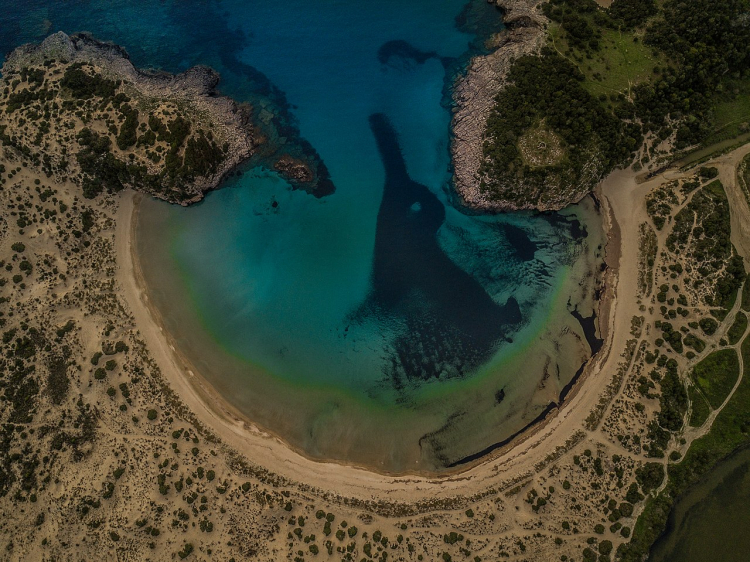 &Eta; &sigma;&pi;ά&nu;&iota;&alpha; &pi;&alpha;&rho;&alpha;&lambda;ί&alpha; &pi;&omicron;&upsilon; &sigma;&chi;&eta;&mu;&alpha;&tau;ί&zeta;&epsilon;&iota; &kappa;&omicron;&chi;ύ&lambda;&iota;