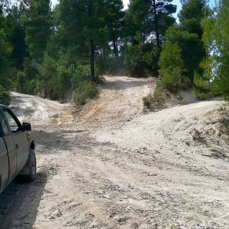 &Pi;&alpha;&rho;έ&mu;&beta;&alpha;&sigma;&eta; &sigma;&tau;&alpha; &delta;ά&sigma;&eta; &alpha;&pi;&omicron; &tau;&eta;&nu; &Pi;&epsilon;&rho;&iota;&phi;έ&rho;&epsilon;&iota;&alpha; &Sigma;&tau;&epsilon;&rho;&epsilon;ά&sigmaf; &Epsilon;&lambda;&lambda;ά&delta;&alpha;&sigmaf;