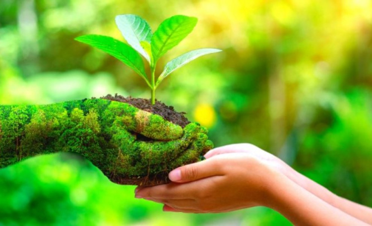 2&eta; &Epsilon;&upsilon;&beta;&omicron;ϊ&kappa;ή &Gamma;&iota;&omicron;&rho;&tau;ή &Tau;&omicron;&pi;&iota;&kappa;ώ&nu; &Sigma;&pi;ό&rho;&omega;&nu; &sigma;&tau;&omicron;&nu; &Mu;ύ&tau;&iota;&kappa;&alpha;