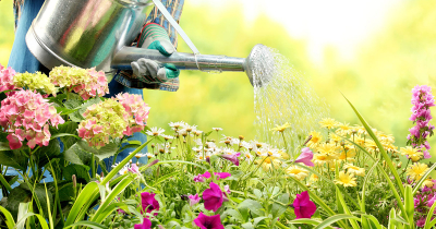 &Pi;&omicron;&iota;&alpha; &epsilon;ί&nu;&alpha;&iota; &eta; &kappa;&alpha;&tau;ά&lambda;&lambda;&eta;&lambda;&eta; ώ&rho;&alpha; &tau;&eta;&sigmaf; &eta;&mu;έ&rho;&alpha;&sigmaf; &gamma;&iota;&alpha; &nu;&alpha; &pi;&omicron;&tau;ί&sigma;&epsilon;&iota;&sigmaf; &tau;&alpha; &phi;&upsilon;&tau;ά &sigma;&omicron;&upsilon;