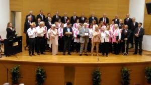 &Chi;&alpha;&lambda;&kappa;ί&delta;&alpha;-8&omicron; &Chi;&omicron;&rho;&omega;&delta;&iota;&alpha;&kappa;ό &Phi;&epsilon;&sigma;&tau;&iota;&beta;ά&lambda; &Omicron;&Pi;&Sigma;&Epsilon;