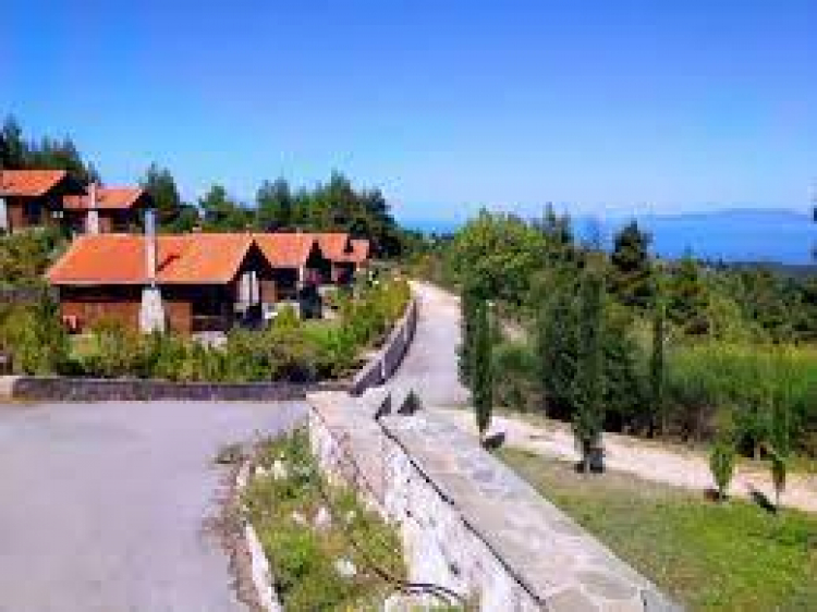 &Sigma;&tau;&omicron;&upsilon;&sigmaf; &Pi;&alpha;&pi;ά&delta;&epsilon;&sigmaf; &eta; &gamma;&iota;&omicron;&rho;&tau;ή &tau;&omicron;&upsilon; &Omicron;&rho;&epsilon;&iota;&beta;&alpha;&tau;&iota;&kappa;&omicron;ύ &Sigma;&upsilon;&lambda;&lambda;ό&gamma;&omicron;&upsilon;