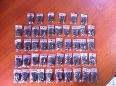 &Tau;&omicron;&nu; &tau;&sigma;&alpha;&kappa;ώ&sigma;&alpha;&nu;&epsilon; &mu;&epsilon; &nu;&alpha;&rho;&kappa;&omega;&tau;&iota;&kappa;ά