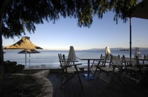 &Nu;&upsilon;&chi;&tau;&alpha; &epsilon;&kappa;&delta;&eta;&lambda;&omega;&sigma;&epsilon;&omega;&nu; &kappa;&alpha;&iota; &alpha;&gamma;&omicron;&rho;&omega;&nu; &sigma;&tau;&eta;&nu; &omicron;&mu;&omicron;&rho;&phi;&eta; &Epsilon;&rho;&epsilon;&tau;&rho;&iota;&alpha;